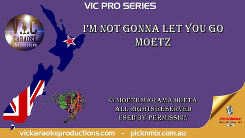 Moetz - I'm Not Gonna Let You Go
