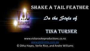 Tina Turner - Shake a Tail Feather - Karaoke Bars & Productions Auckland